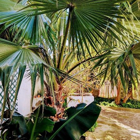 Cozy 3 Bedroom Home - Close To Beach 로리냐 외부 사진