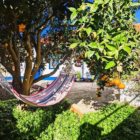 Cozy 3 Bedroom Home - Close To Beach 로리냐 외부 사진