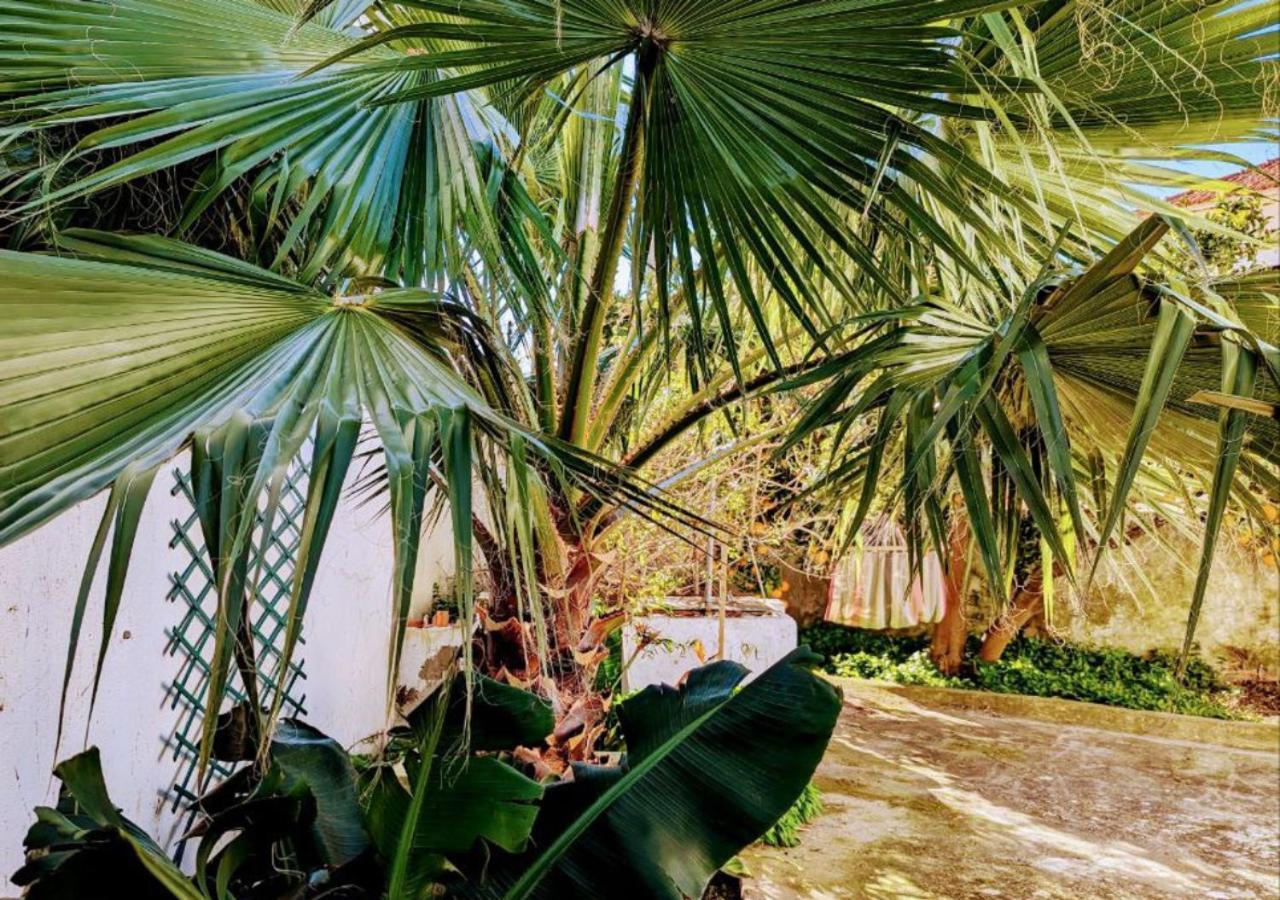 Cozy 3 Bedroom Home - Close To Beach 로리냐 외부 사진