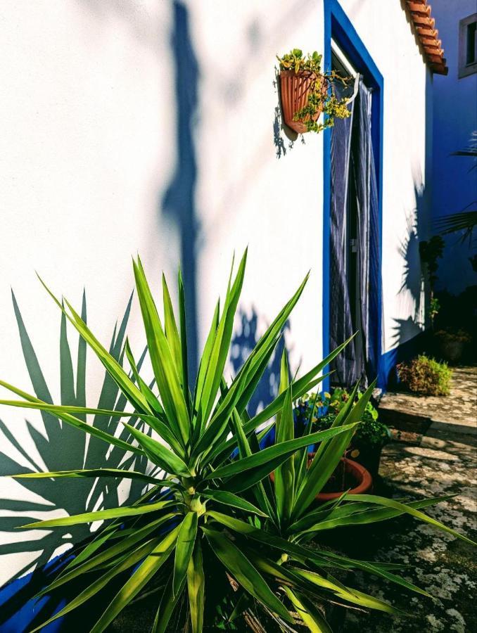 Cozy 3 Bedroom Home - Close To Beach 로리냐 외부 사진